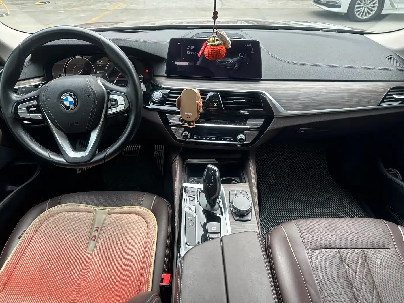 BMW 5 SERIES NEW ENERGY