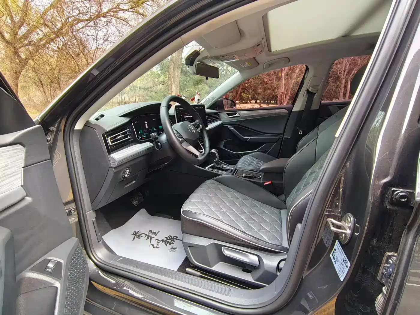 Volkswagen Sagitar 2024 300TSI DSG Surpass Edition фото 4
