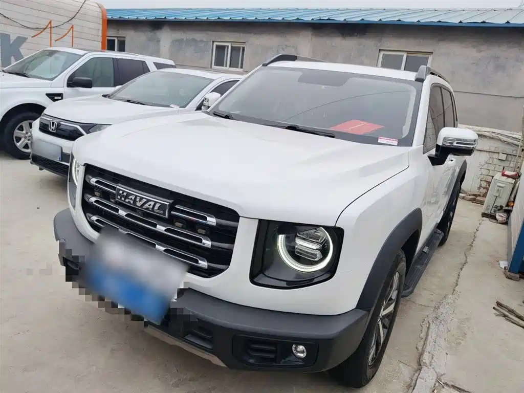 Haval Big Dog 2021 1.5T DCT 2WD Labrador Edition