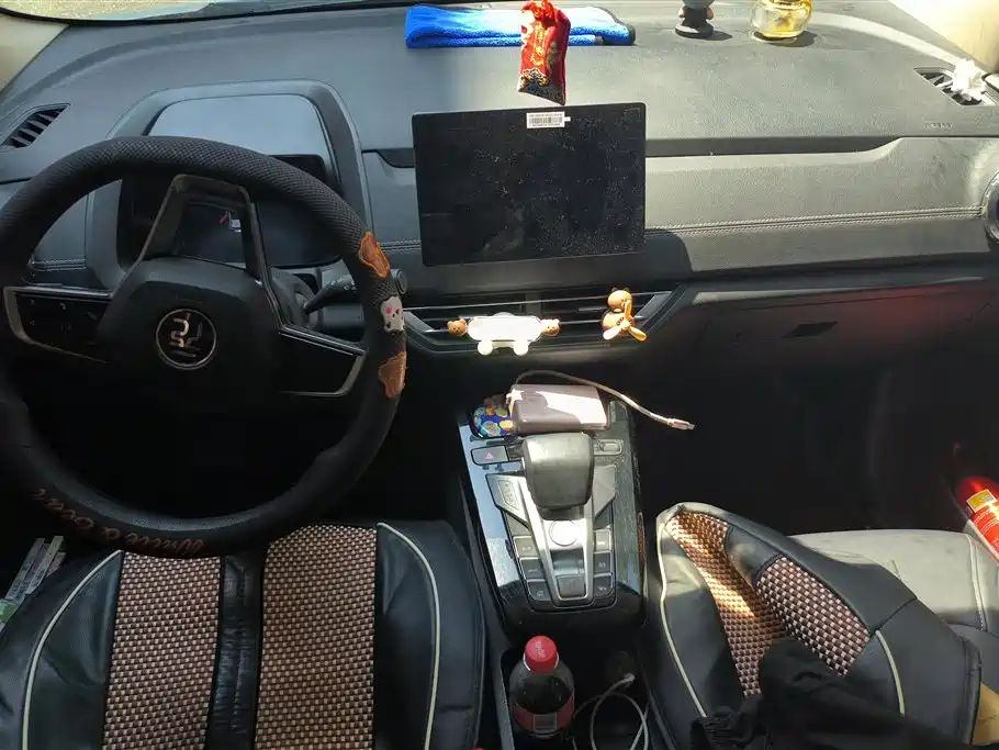 BYD Yuan New Energy 2019 EV535 Smart Connected Trend Leader Type фото 12