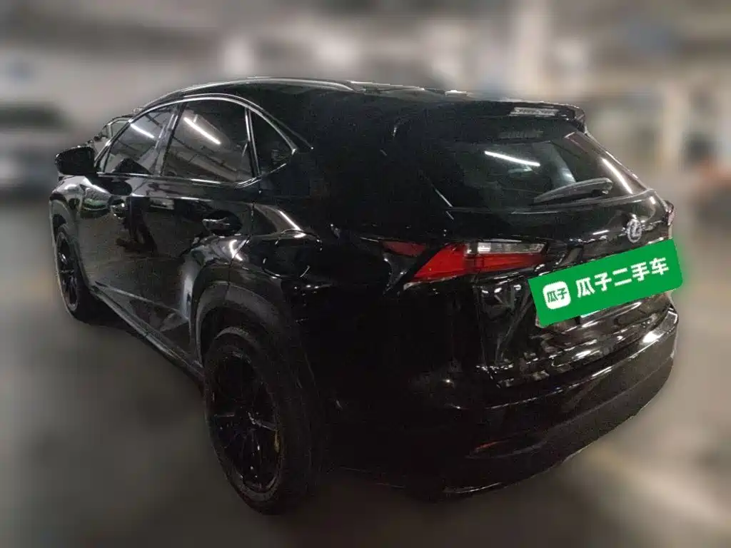 Фото 25 - Lexus NX