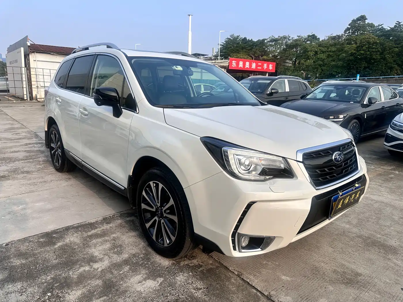 Subaru Forester 2018 2.0i Fashion Navigation Edition фото 3