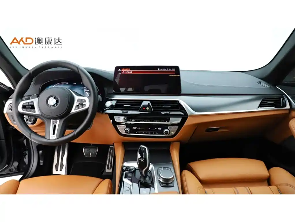 BMW 5 Series (Import) 2021 530i Style Edition M Sport Package фото 5