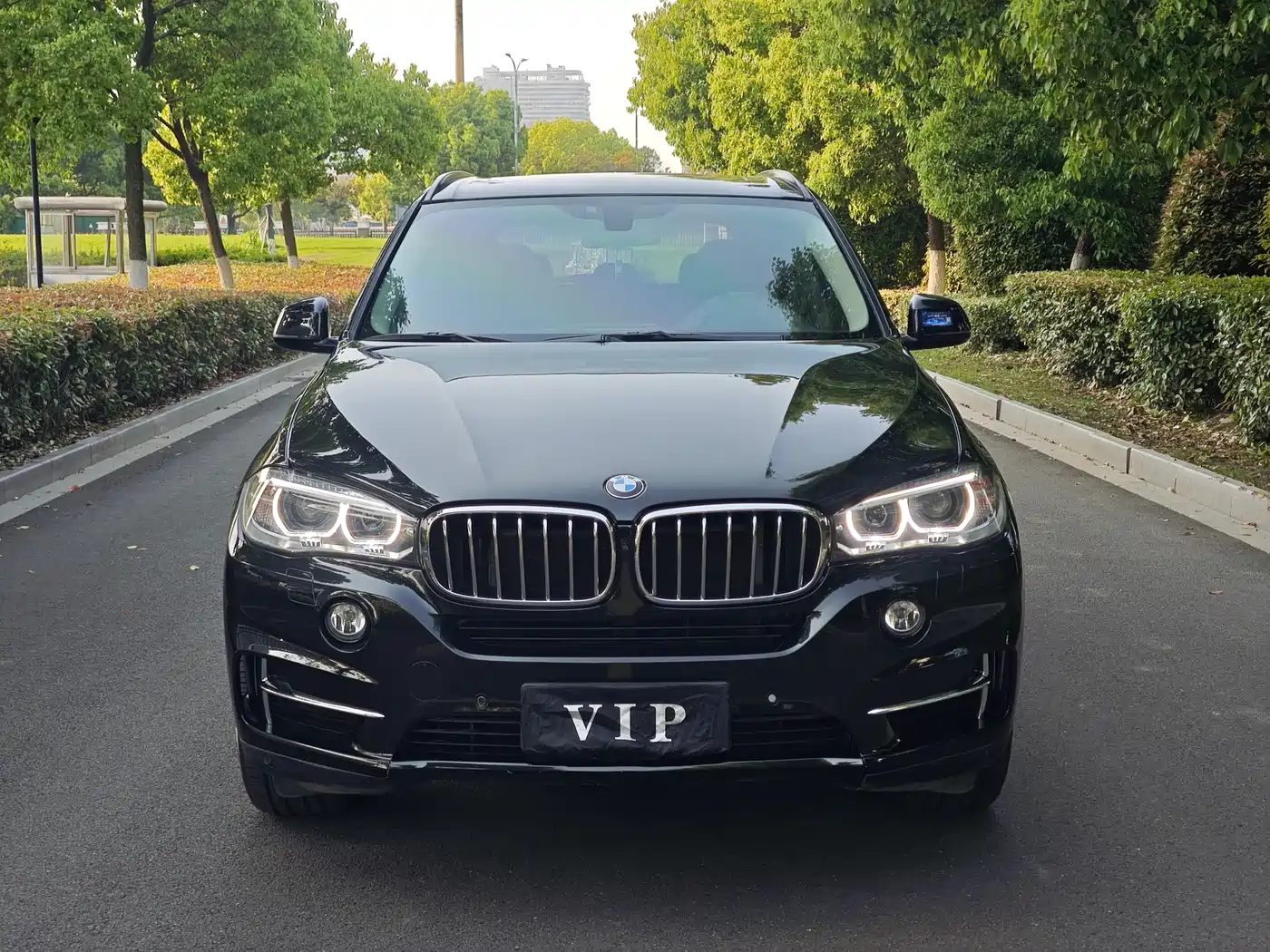 BMW X5 (Import) 2017 xDrive35i Elegance фото 2