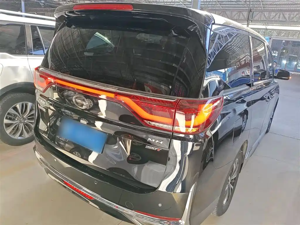 GAC Trumpchi Trumpchi M8 2023 Leading Series 390T Premium Edition фото 6