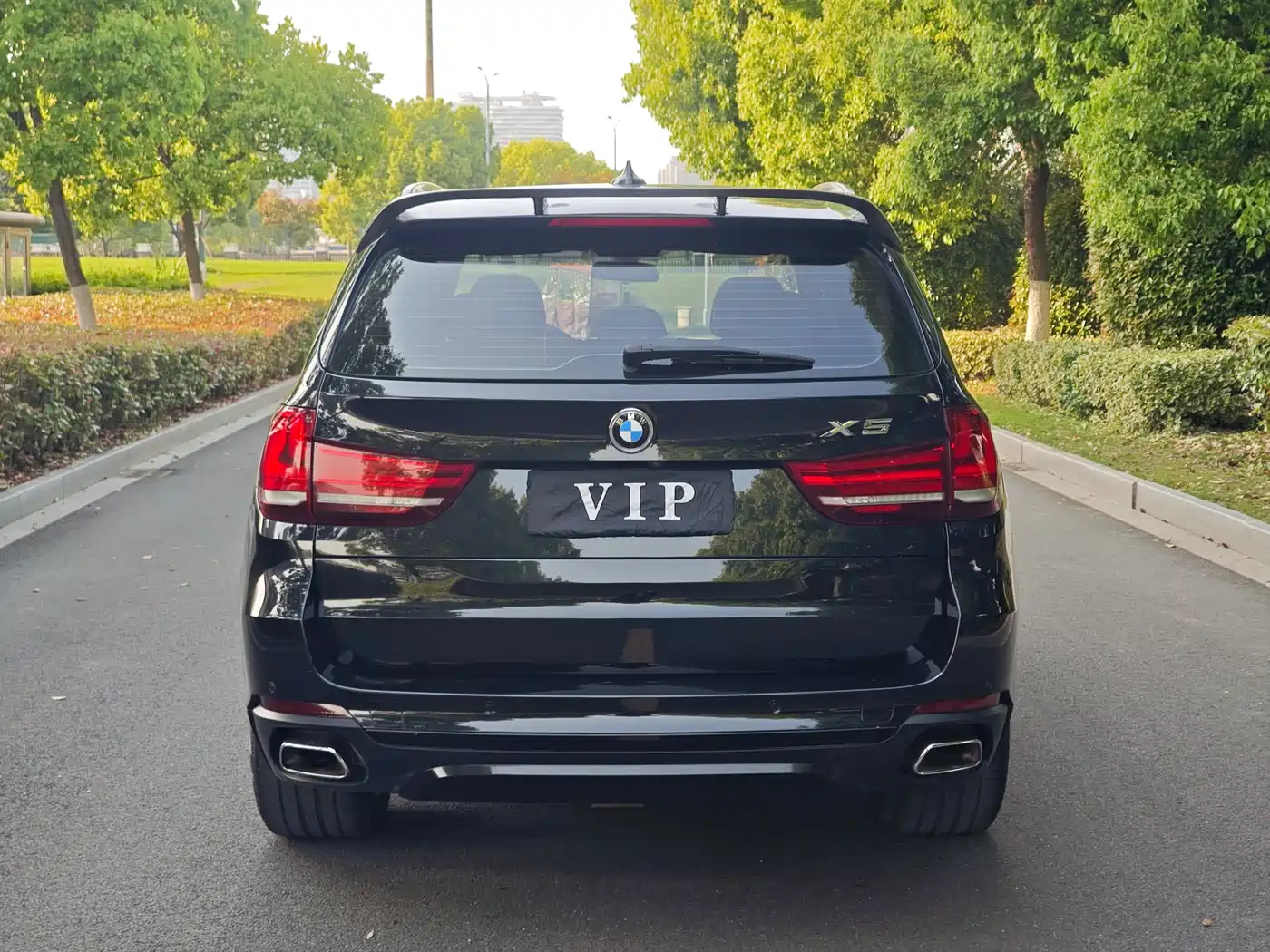 BMW X5 (Import) 2017 xDrive35i Elegance фото 4