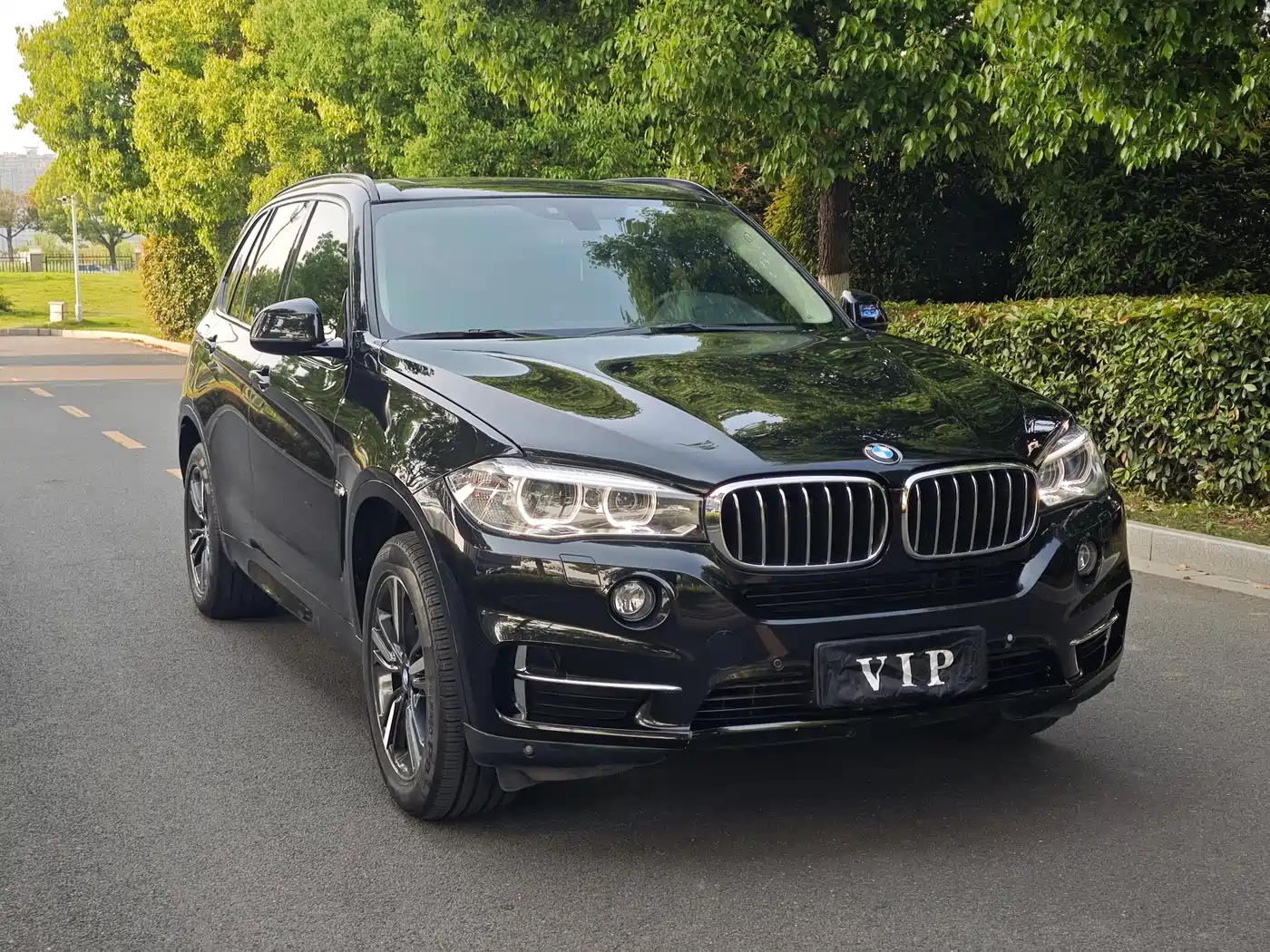 BMW X5 (Import) 2017 xDrive35i Elegance фото 20
