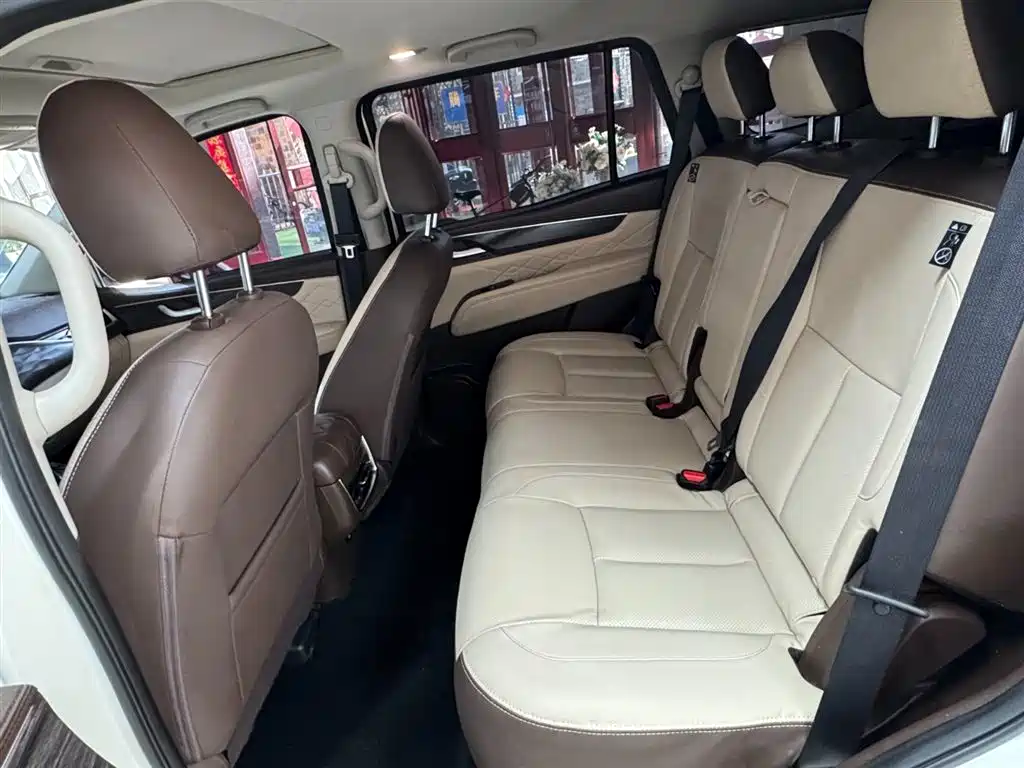 Dongfeng Fengdu Paladin 2023 Model 2.0T 4WD Premium Edition фото 17