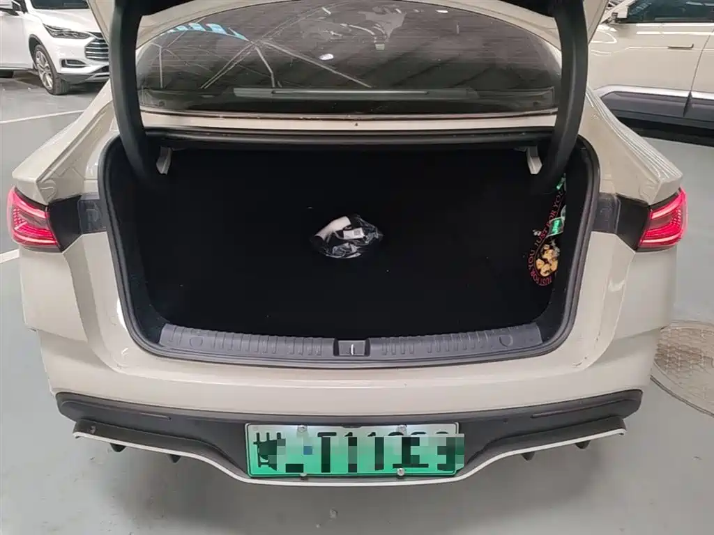 BYD Seal 06 New Energy 2024 DM-i 120KM Honor фото 19