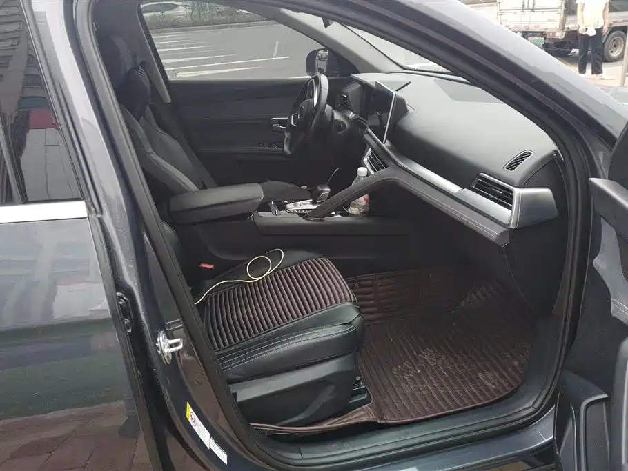 BYD Song Pro New Energy 2019 DM 1.5T 4WD Performance Luxury фото 8