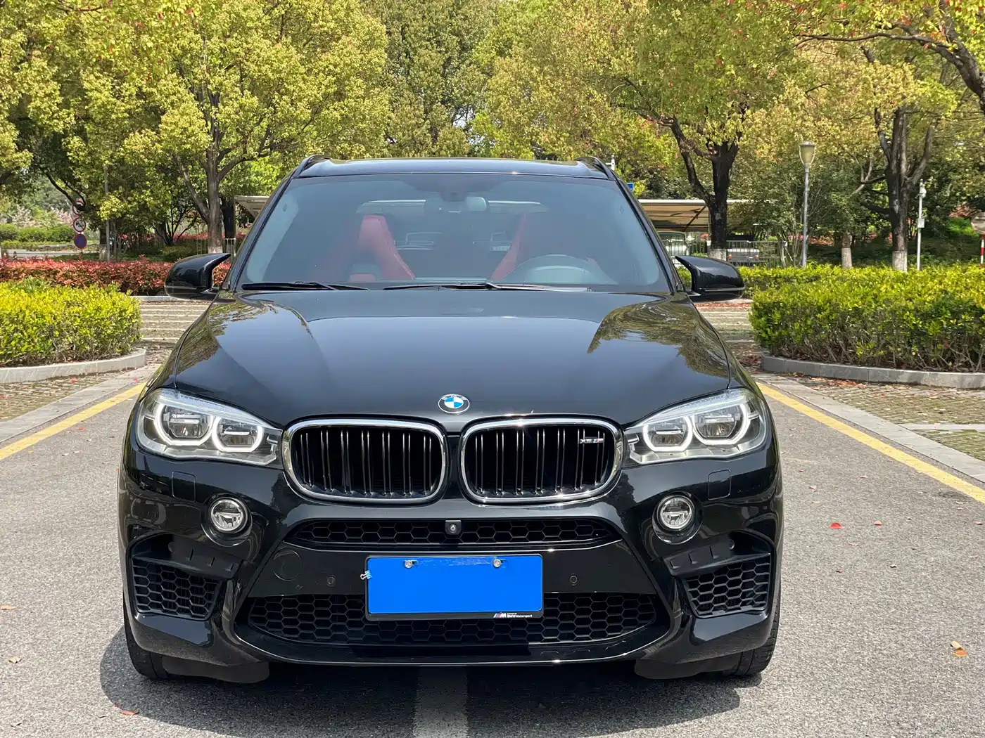 BMW X5 M 2013 X5 M фото 2