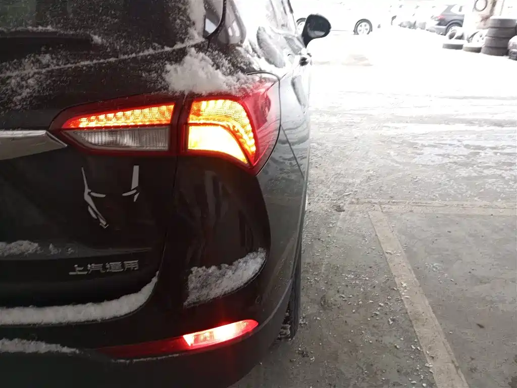 Buick Envision Plus 2018 20T 2WD Elite фото 24