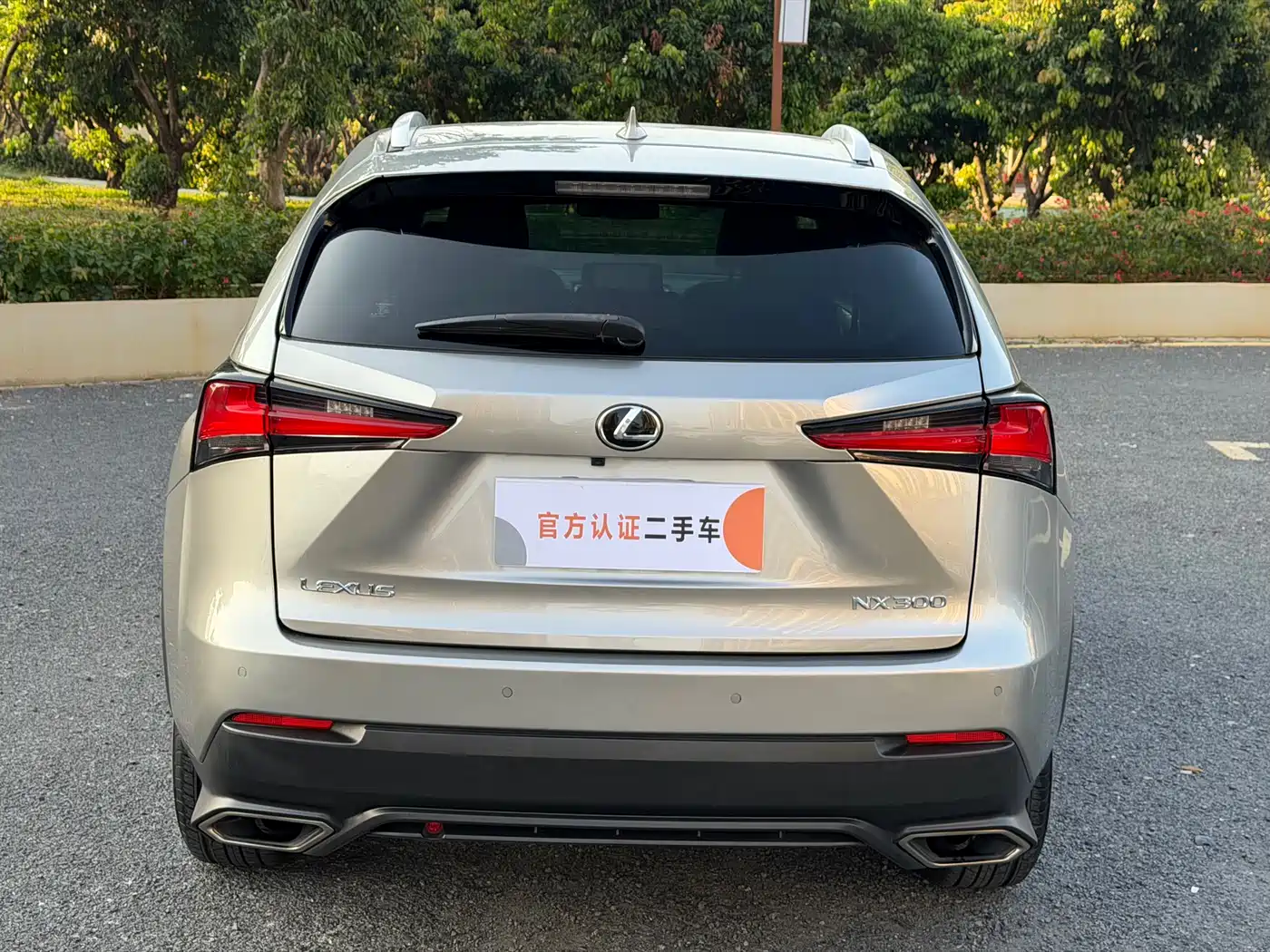 Lexus NX 2018 Model 300 FWD Fengxing Edition фото 7