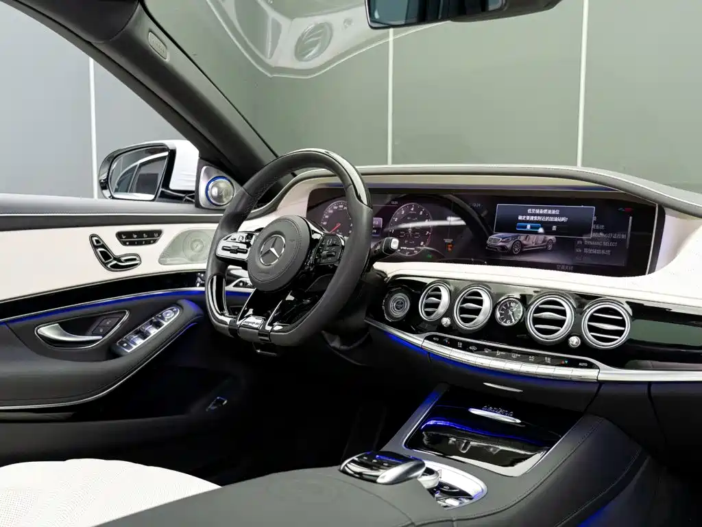Mercedes-Benz S-Class AMG 2020 2018 AMG S 65 L