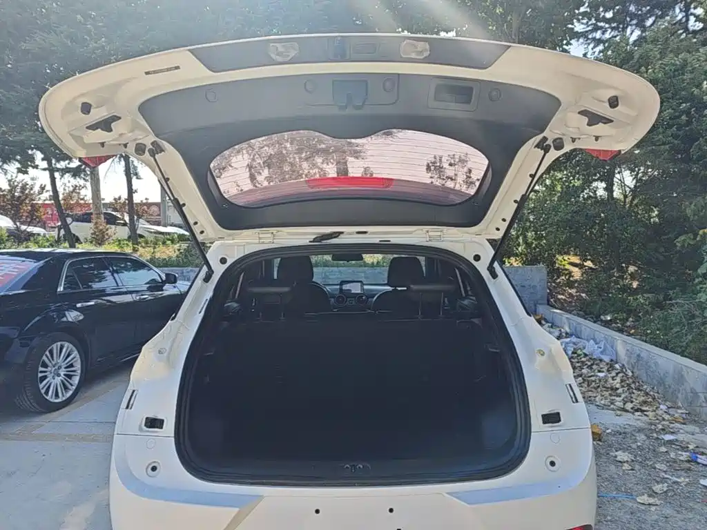 Dongfeng Fengguang Fengon 500 2022 2022 1.5L Manual Enjoyment Edition