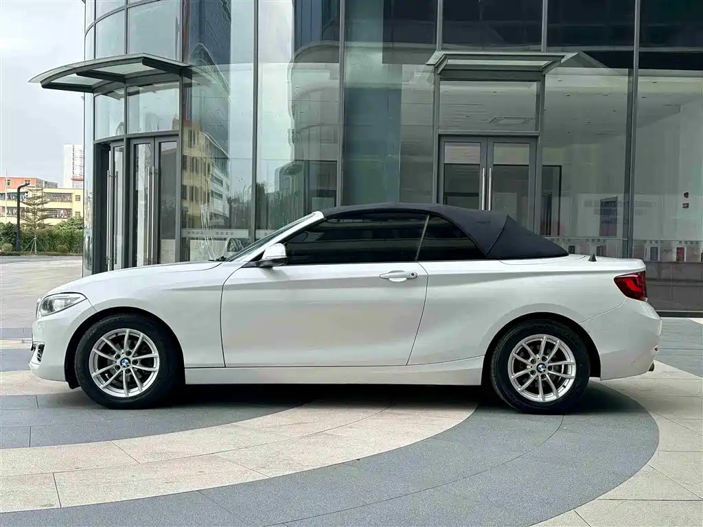 BMW 2 Series (Import) 2015 218i Convertible Coupe фото 28