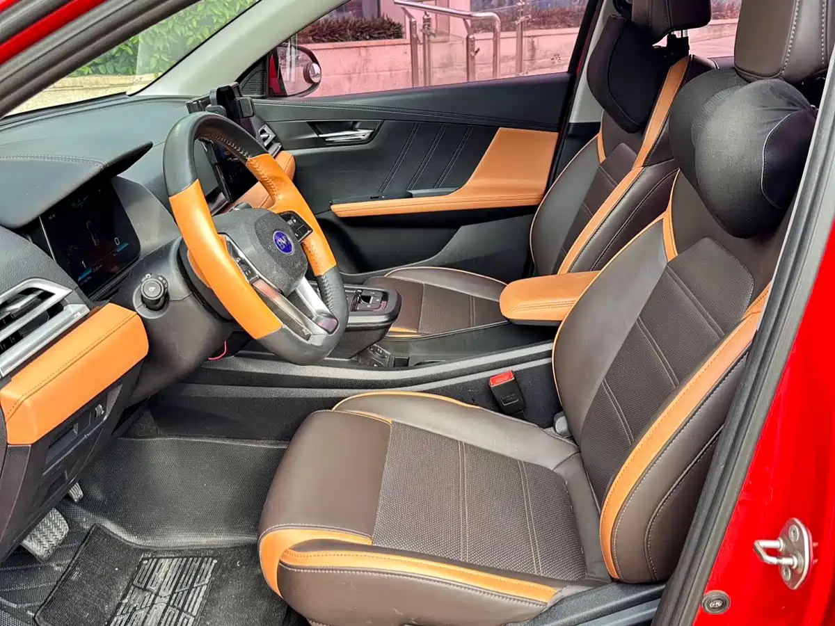 BYD e2 2020 2021 Luxury Edition
