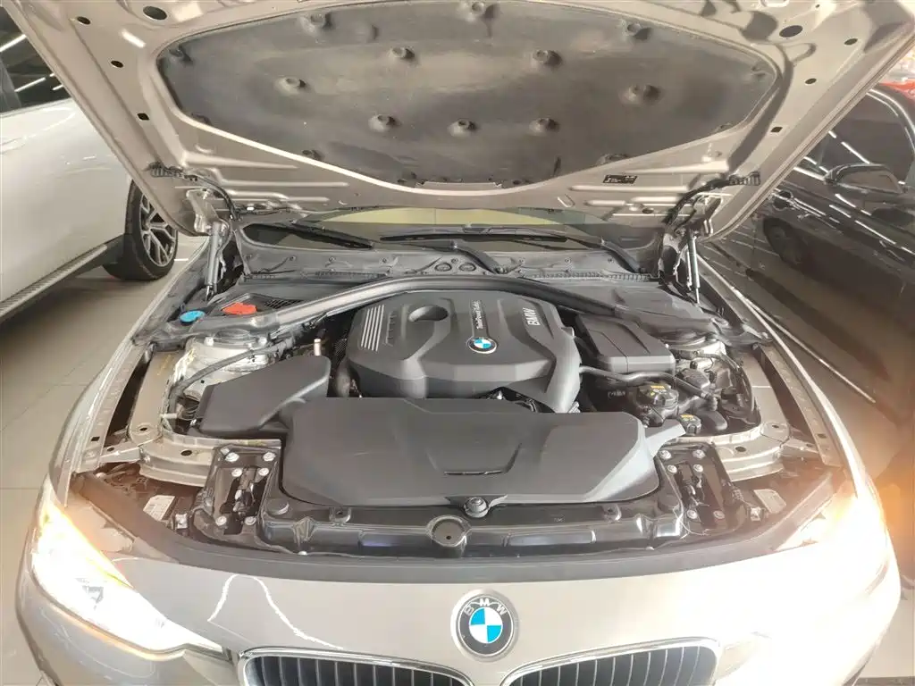 BMW 3 Series 2017 320Li Fashion фото 9