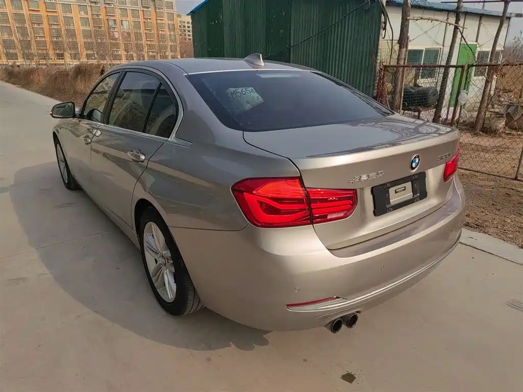 BMW 3 Series 2017 320Li Fashion фото 23