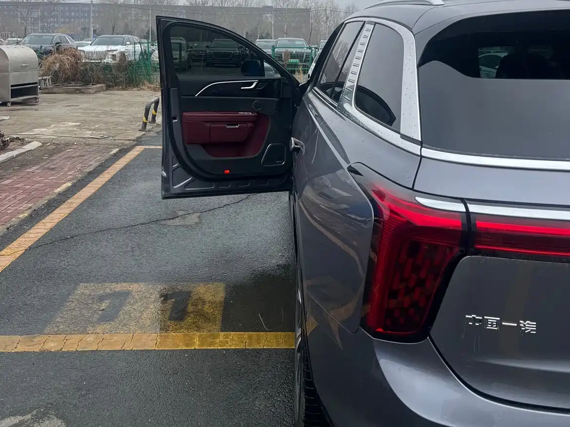 Hongqi E-HS9 2022 690km Qi Xiang Edition (6-seater) фото 8