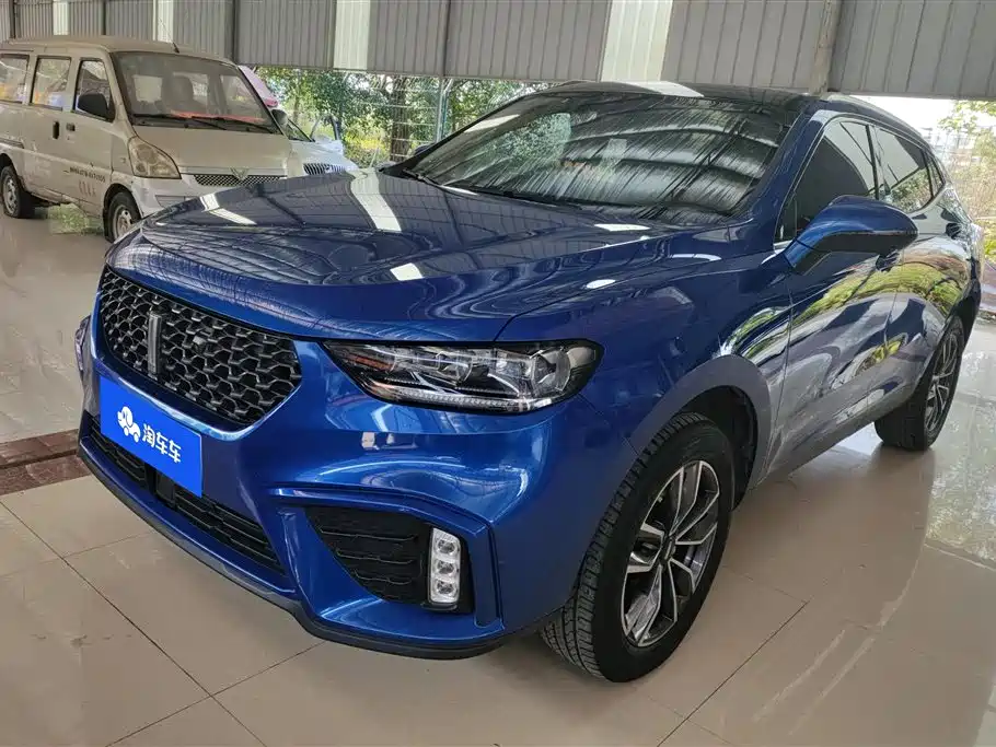 WEI PAI WEI BRAND VV5