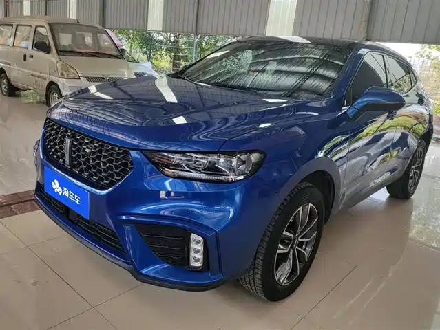 WEI PAI WEI BRAND VV5