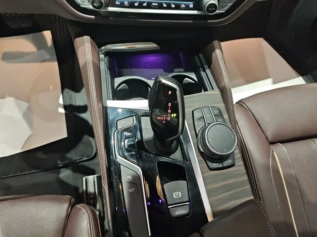 BMW 5 Series 2020 530Li Premium Luxury Package фото 14
