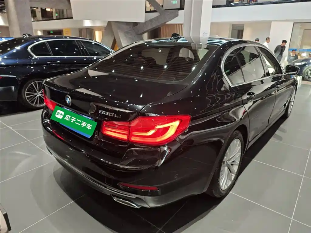 BMW 5 Series 2020 530Li Premium Luxury Package фото 7