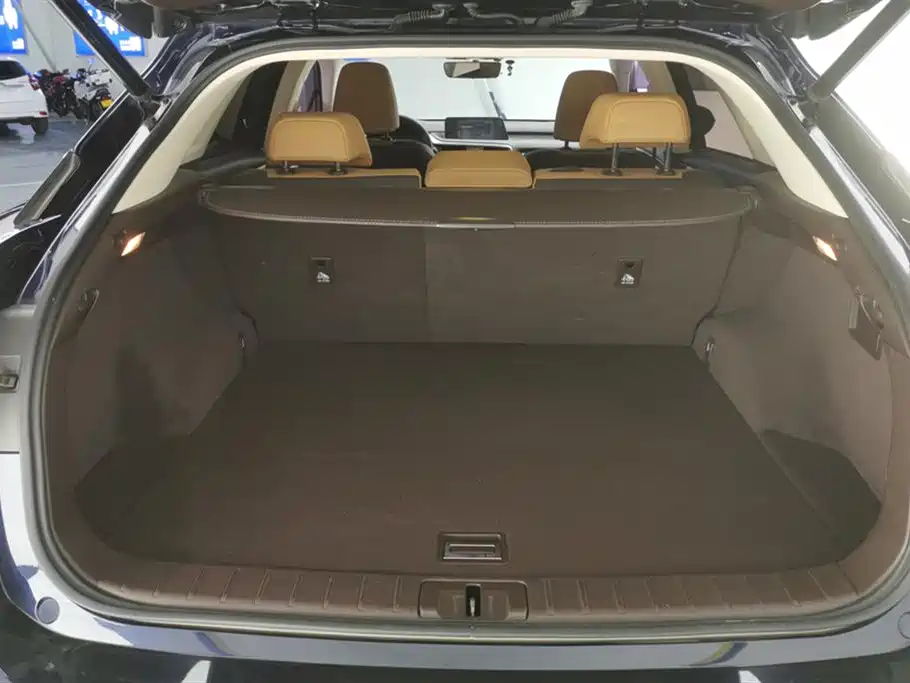 Lexus RX 2016 300 4WD Elegance Edition (China V) фото 4