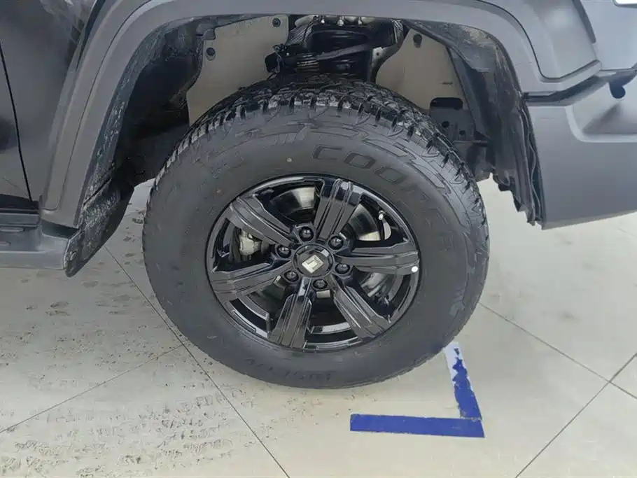 Tank 300 2023 Off-Road Edition 2.0T Conqueror фото 6