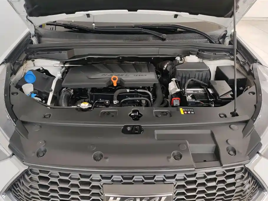 Haval H6 Coupe 2019 1.5T Auto 2WD Elite Edition China VI фото 10