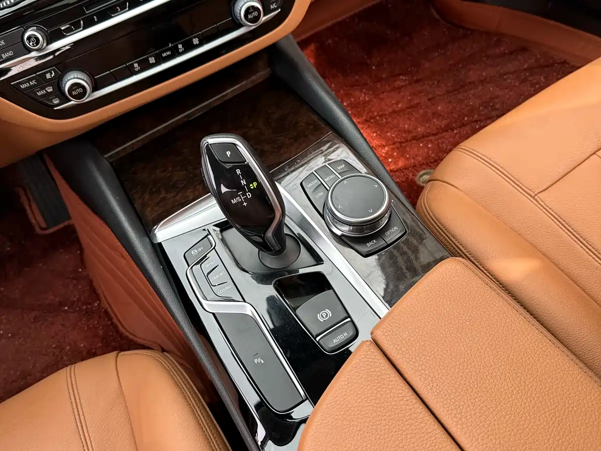 BMW 5 Series 2018 528Li Launch Special Edition фото 20