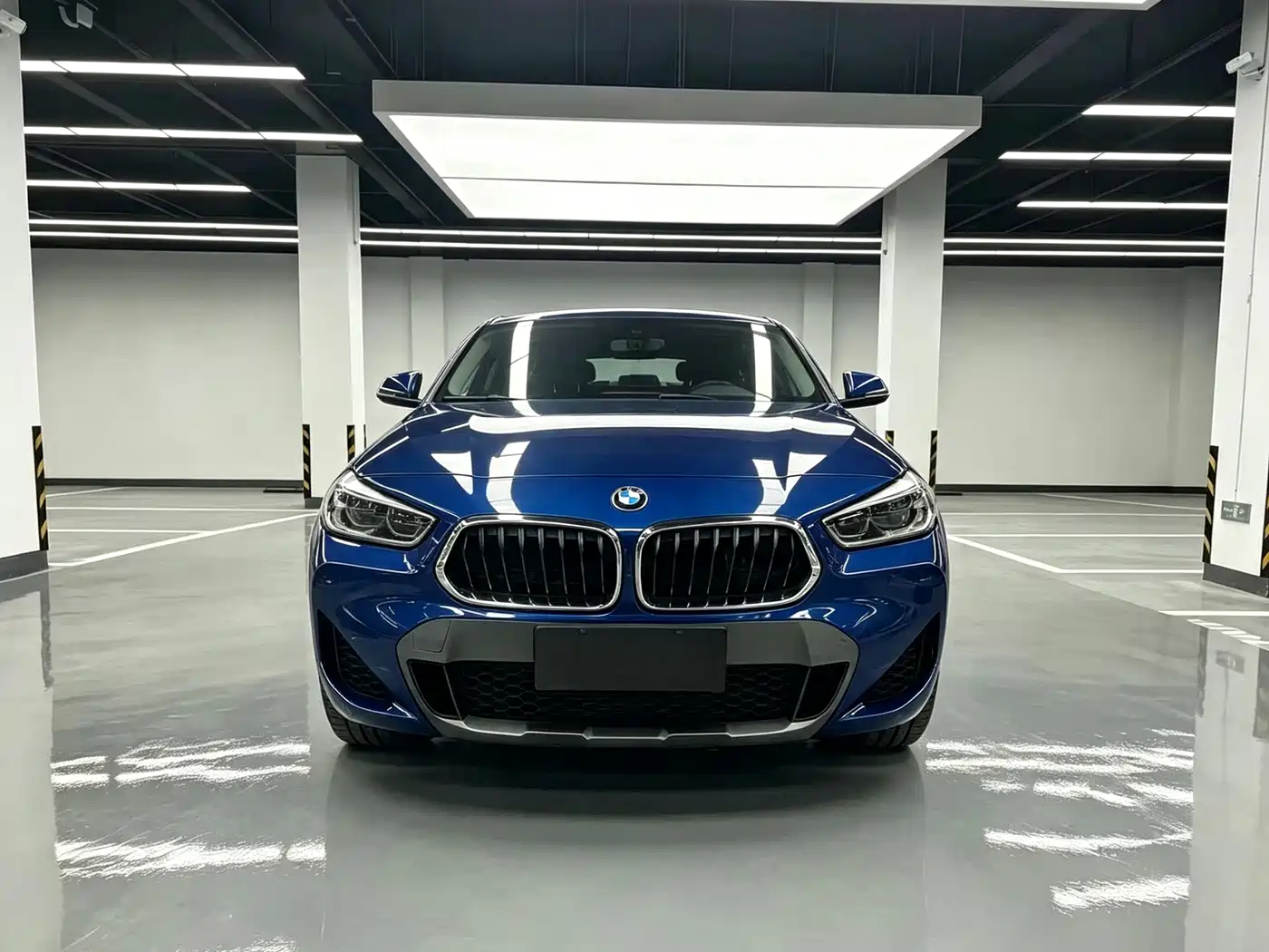 BMW X2 (Import) 2019 2019 sDrive20i M Off-Road Package China VI