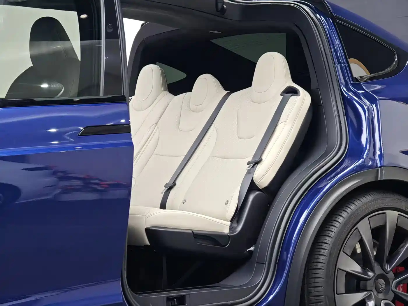 Tesla Model X 2023 Dual Motor All-Wheel Drive Edition фото 6