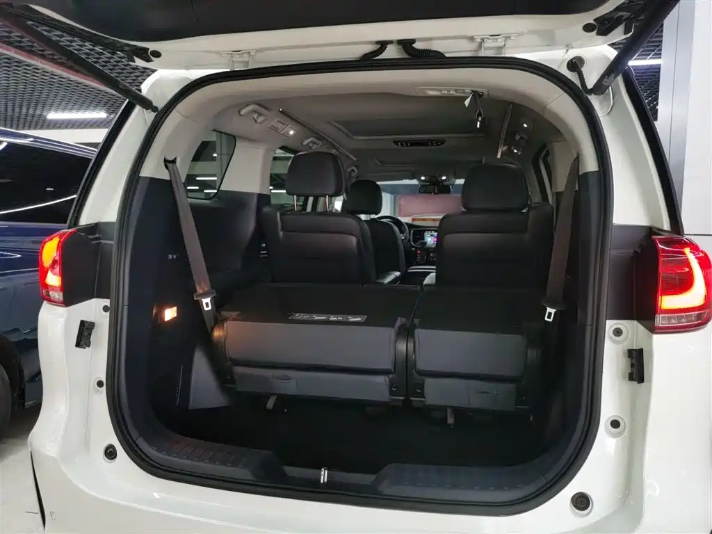 GAC Trumpchi Trumpchi M8 2020 Pilot 390T Prestige Edition фото 9