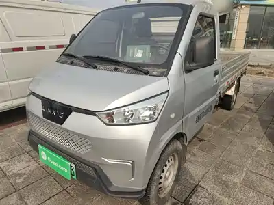 Wuling Wuling Electric Truck