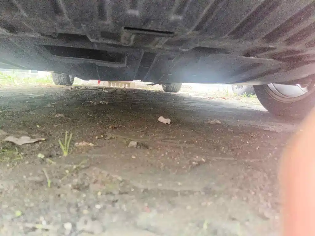Фото 9 - Nissan Sylphy