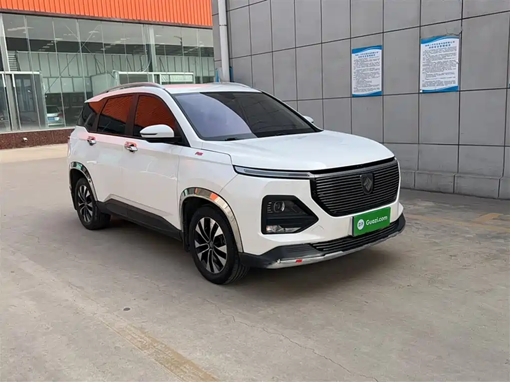 BAOJUN 530