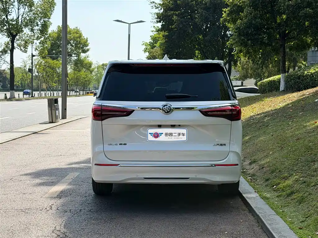 Buick GL8 2023 ES Landmaster Exclusive фото 5