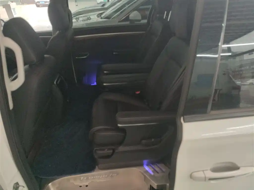 GAC Trumpchi Trumpchi M8 2021 Leading Show Series 390T Premium Edition фото 14