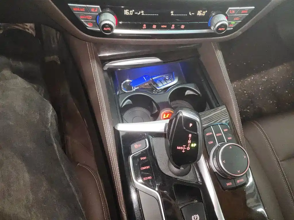 BMW 5 Series 2020 525Li Luxury Package фото 10