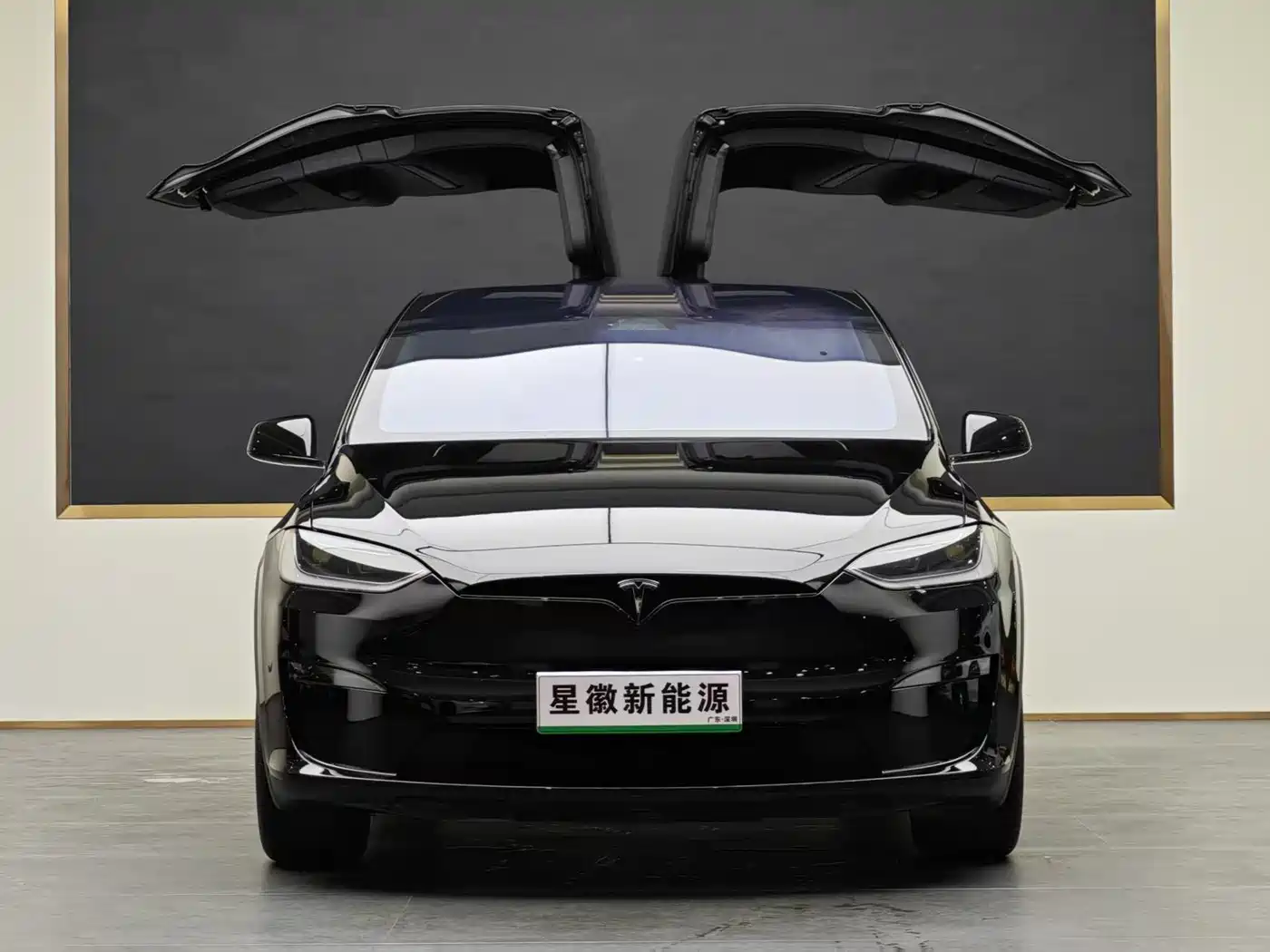 Tesla Model X 2023 Dual Motor All-Wheel Drive Edition фото 2