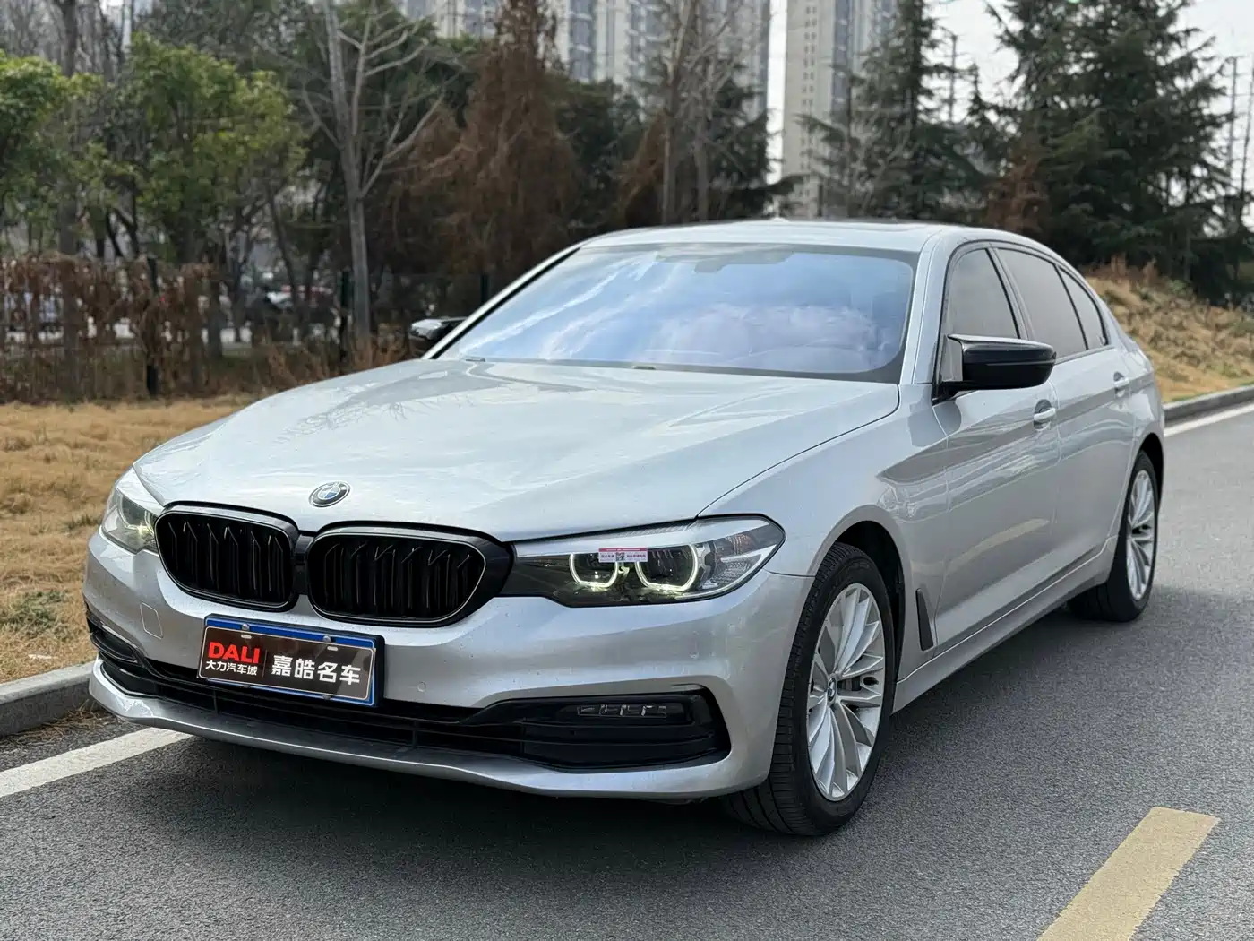 BMW 5 Series 2019 530Li Leading Luxury Package
