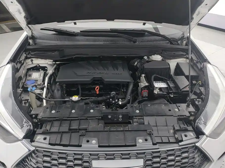 Haval H6 Coupe 2019 2019 1.5T Automatic 2WD Luxury Smart Connect Edition China V