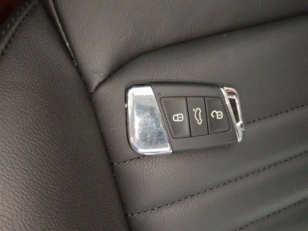 Volkswagen Magotan 2019 330TSI DSG Leading China V фото 11