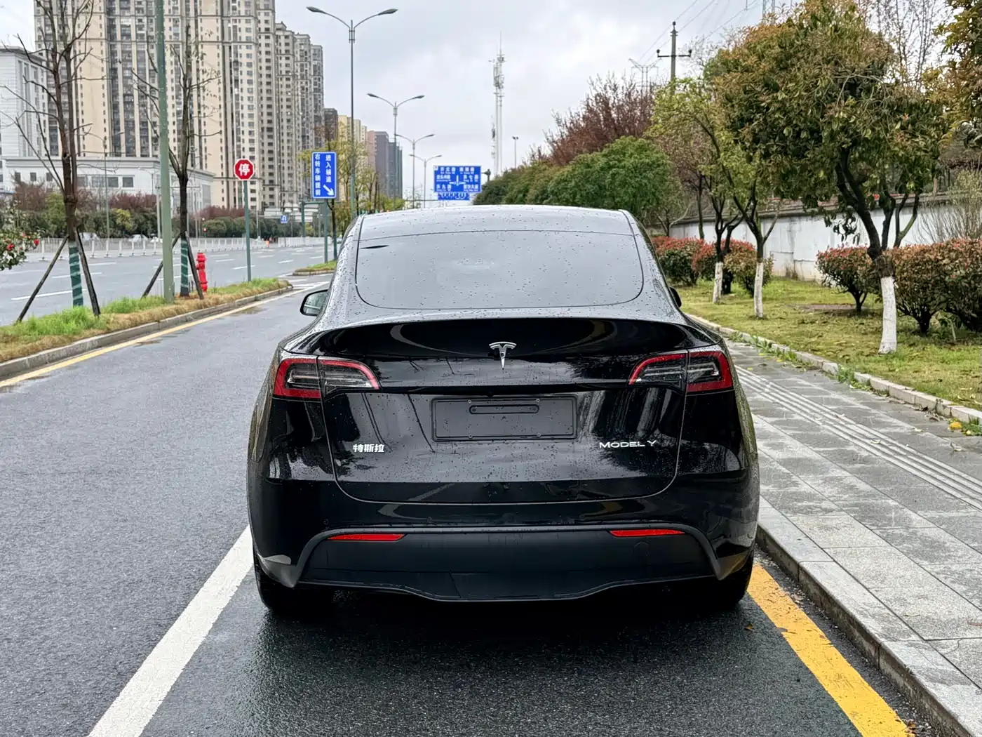 TESLA MODEL Y