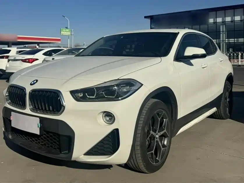 BMW X2 (Import) 2019 sDrive20i M Off-Road Package China VI