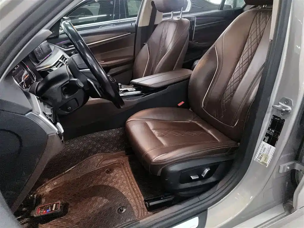 BMW 5 Series 2018 530Li Leading Luxury Package фото 14
