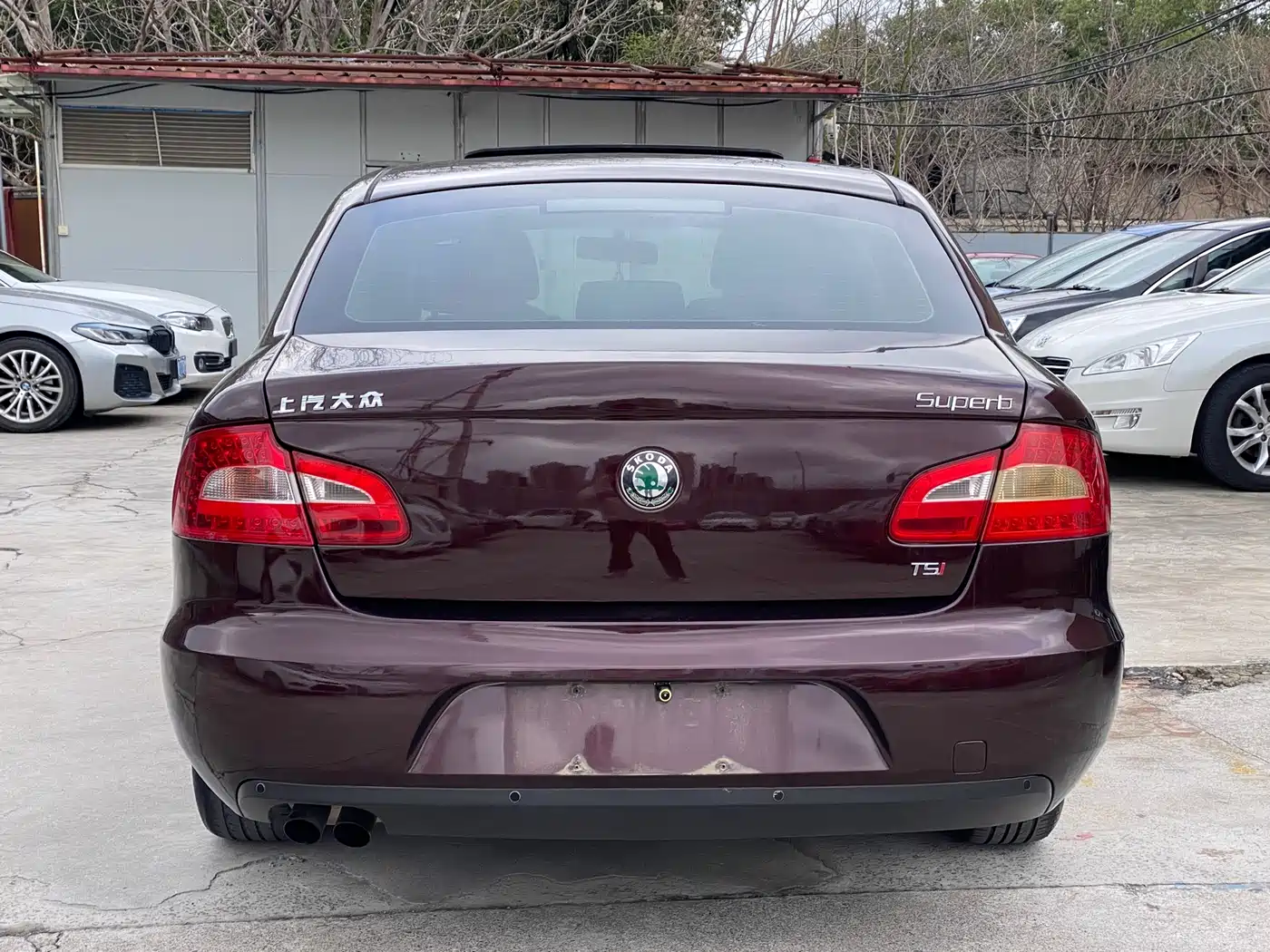 Škoda Superb 2010 1.4TSI DSG Grace Edition фото 14