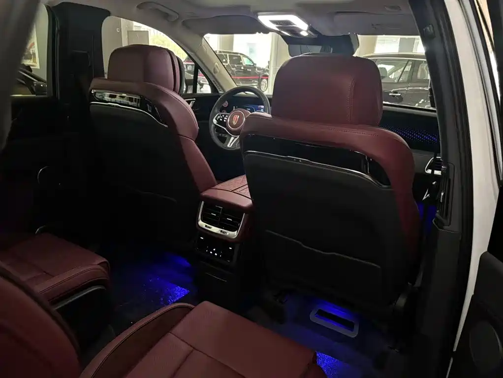 Фото 13 - Hongqi E-HS9